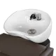 Парикмахерская мойка Тера